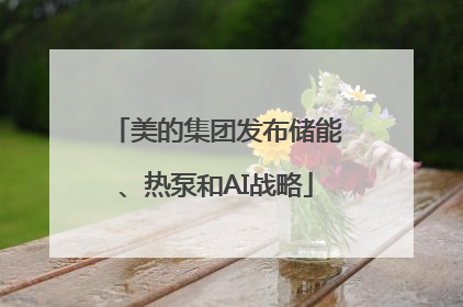 美的集团发布储能、热泵和AI战略