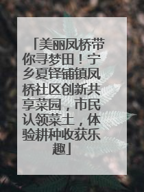 美丽凤桥带你寻梦田！宁乡夏铎铺镇凤桥社区创新共享菜园，市民认领菜土，体验耕种收获乐趣