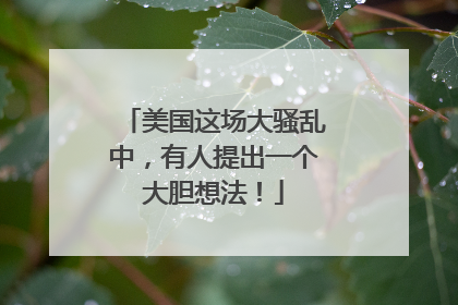 美国这场大骚乱中，有人提出一个大胆想法！