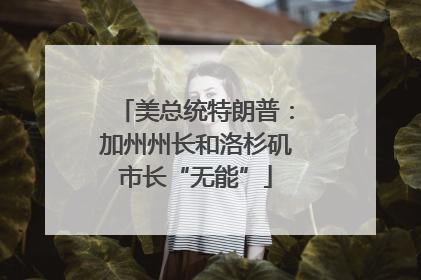 美总统特朗普：加州州长和洛杉矶市长“无能”