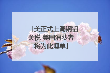 美正式上调钢铝关税 美国消费者将为此埋单