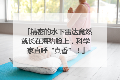 精密的水下雷达竟然就长在海豹脸上，科学家直呼“真香”！