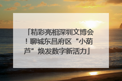 精彩亮相深圳文博会！聊城东昌府区“小葫芦”焕发数字新活力