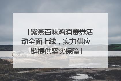 紫燕百味鸡消费券活动全面上线，实力供应链提供坚实保障