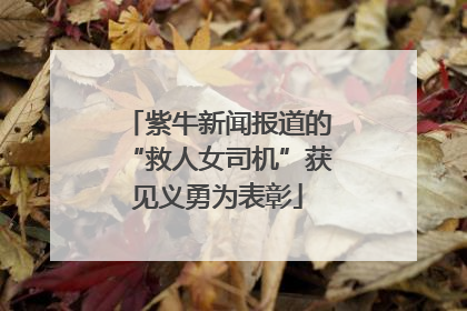 紫牛新闻报道的“救人女司机”获见义勇为表彰