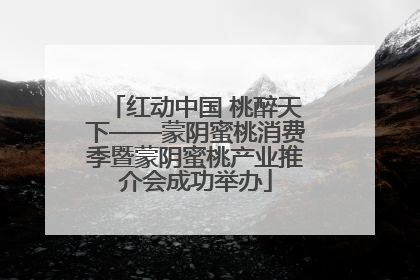 红动中国 桃醉天下——蒙阴蜜桃消费季暨蒙阴蜜桃产业推介会成功举办