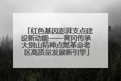 红色基因澎湃支点建设新动能——黄冈传承大别山精神点燃革命老区高质量发展新引擎