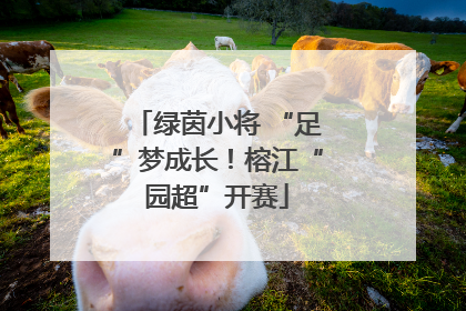绿茵小将 “足”梦成长！榕江“园超”开赛