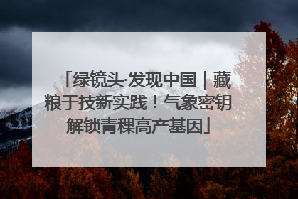 绿镜头·发现中国｜藏粮于技新实践！气象密钥解锁青稞高产基因