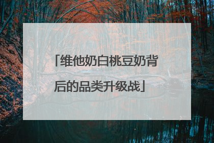 维他奶白桃豆奶背后的品类升级战