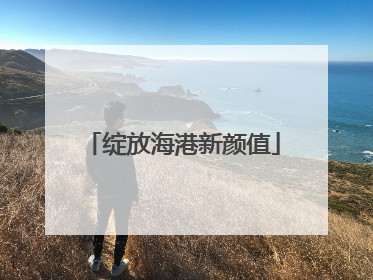 绽放海港新颜值