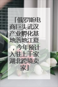 俄罗斯电商巨头武汉产业孵化基地落地江夏，今年预计入驻上千家湖北跨境卖家