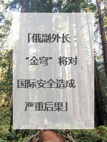 俄副外长：“金穹”将对国际安全造成严重后果