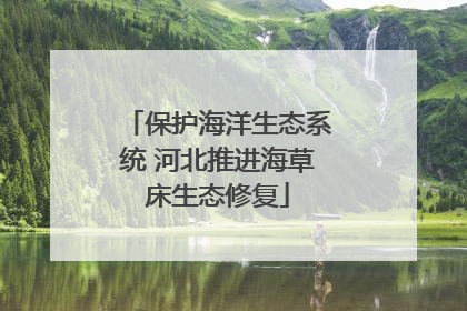 保护海洋生态系统 河北推进海草床生态修复