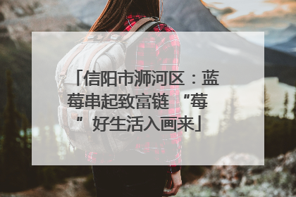信阳市浉河区：蓝莓串起致富链 “莓”好生活入画来