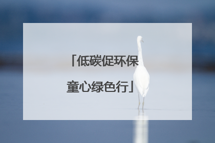 低碳促环保 童心绿色行