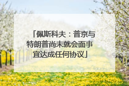佩斯科夫：普京与特朗普尚未就会面事宜达成任何协议