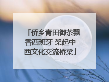 侨乡青田御茶飘香西班牙 架起中西文化交流桥梁