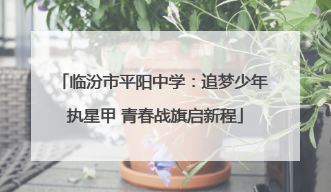 临汾市平阳中学：追梦少年执星甲 青春战旗启新程