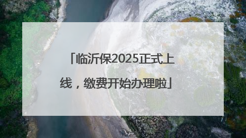 临沂保2025正式上线，缴费开始办理啦