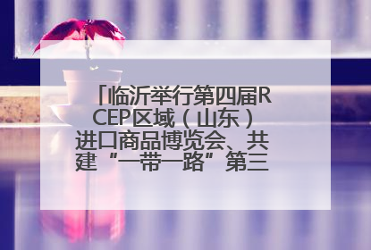 临沂举行第四届RCEP区域（山东）进口商品博览会、共建“一带一路”第三届临沂商城国际采购商大会新闻发布会