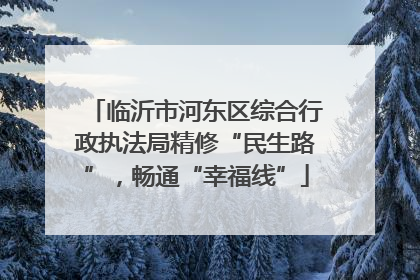临沂市河东区综合行政执法局精修“民生路”，畅通“幸福线”