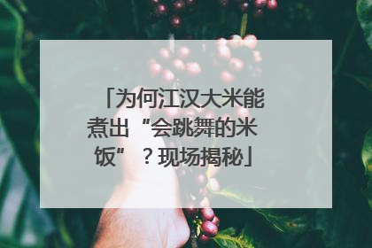 为何江汉大米能煮出“会跳舞的米饭”？现场揭秘