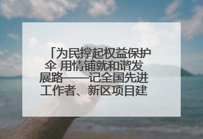 为民撑起权益保护伞 用情铺就和谐发展路——记全国先进工作者、新区项目建设中心干部卢小勇