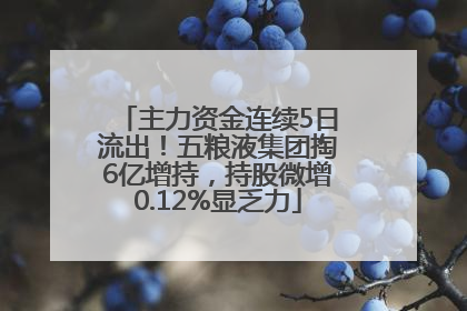 主力资金连续5日流出！五粮液集团掏6亿增持，持股微增0.12%显乏力