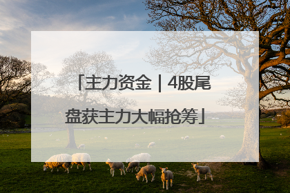 主力资金｜4股尾盘获主力大幅抢筹