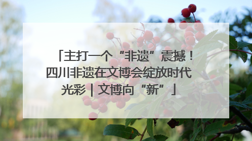 主打一个“非遗”震撼！四川非遗在文博会绽放时代光彩｜文博向“新”