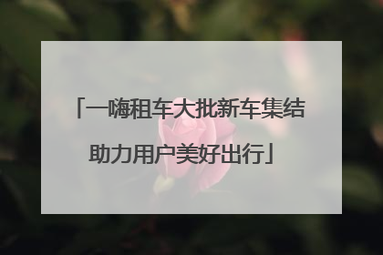 一嗨租车大批新车集结 助力用户美好出行