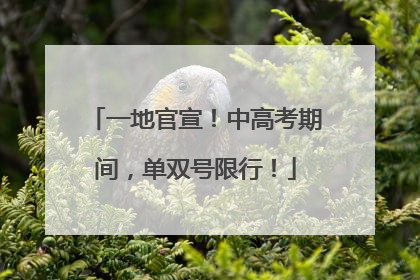 一地官宣！中高考期间，单双号限行！