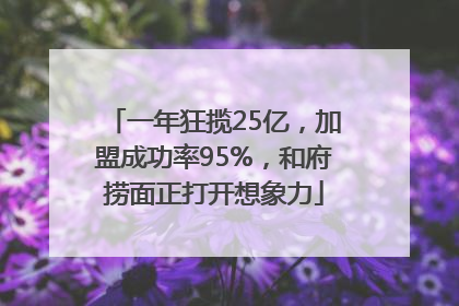 一年狂揽25亿，加盟成功率95%，和府捞面正打开想象力