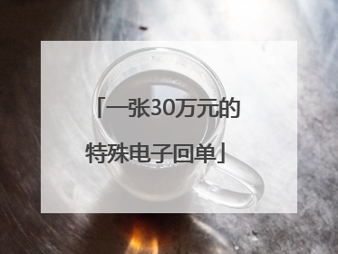 一张30万元的特殊电子回单