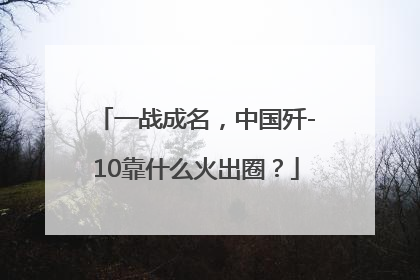 一战成名，中国歼-10靠什么火出圈？