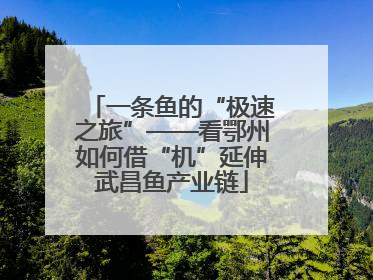 一条鱼的“极速之旅”——看鄂州如何借“机”延伸武昌鱼产业链