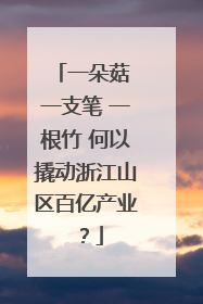 一朵菇 一支笔 一根竹 何以撬动浙江山区百亿产业？