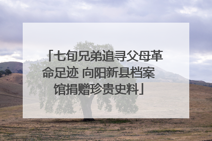 七旬兄弟追寻父母革命足迹 向阳新县档案馆捐赠珍贵史料