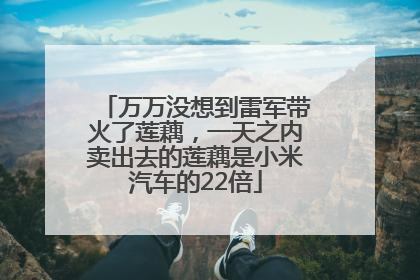 万万没想到雷军带火了莲藕，一天之内卖出去的莲藕是小米汽车的22倍