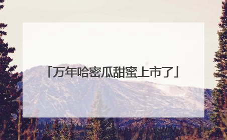 万年哈密瓜甜蜜上市了