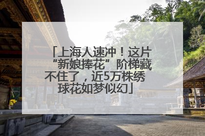 上海人速冲！这片“新娘捧花”阶梯藏不住了，近5万株绣球花如梦似幻
