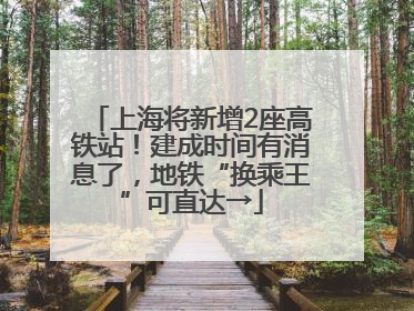 上海将新增2座高铁站！建成时间有消息了，地铁“换乘王”可直达→