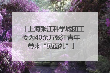 上海张江科学城团工委为40余万张江青年带来“见面礼”