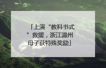 上演“教科书式”救援，浙江温州母子获特殊奖励