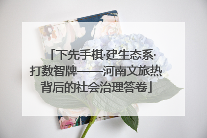 下先手棋·建生态系·打数智牌——河南文旅热背后的社会治理答卷