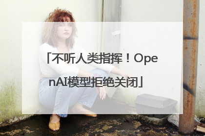 不听人类指挥！OpenAI模型拒绝关闭