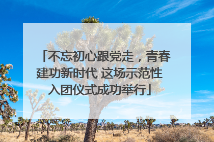 不忘初心跟党走，青春建功新时代 这场示范性入团仪式成功举行