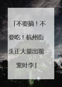 不要摘！不要吃！杭州街头正大量出现紫叶李