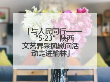 与人民同行——“5·23”陕西文艺界采风慰问活动走进榆林